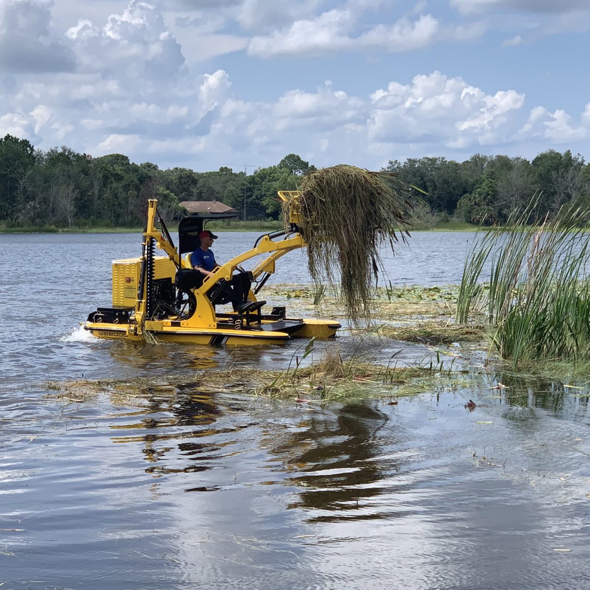 Lake Restoration Company | Karina Lakefront Maintenance & Clean Up